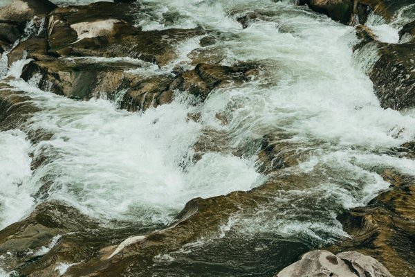 Où trouver les meilleures expériences de pêche à la mouche en Suède?